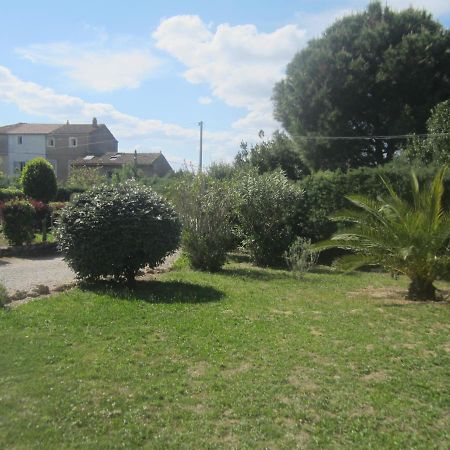 Appartamento studio avec piscine sur 3000 mètres de terrain Marcorignan Esterno foto