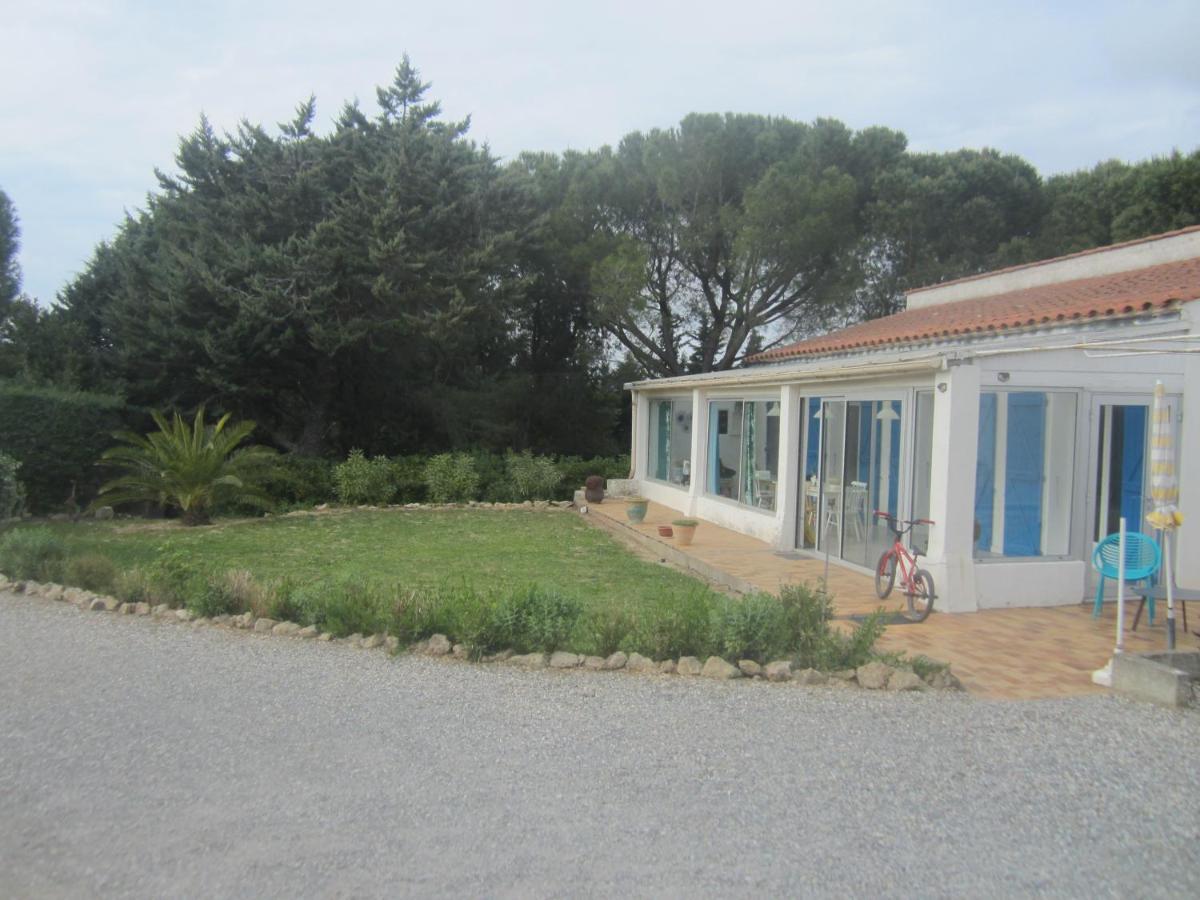 Appartamento studio avec piscine sur 3000 mètres de terrain Marcorignan Esterno foto